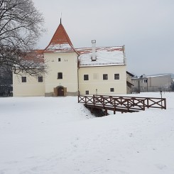 Vodný hrad Šimonovany