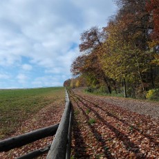 Gazdovstvo Uhliská